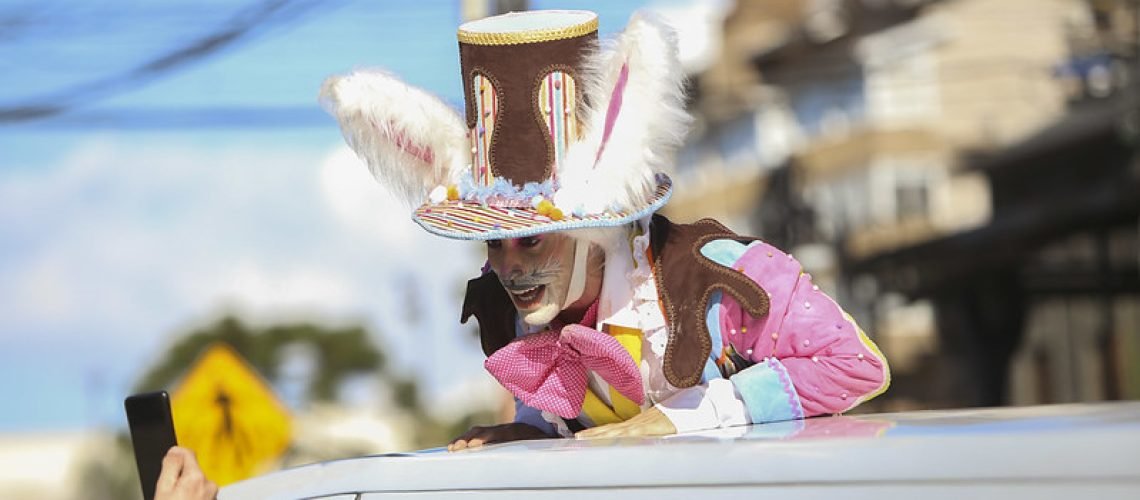 52756213175_0d57cb58f8_c