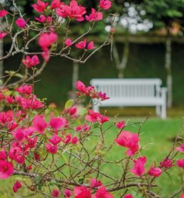 jardim-01